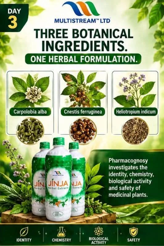 The three botanical ingredients of Jinja Herbal: Carpolobia alba, Cnestis ferruginea and Heliotropium indicum